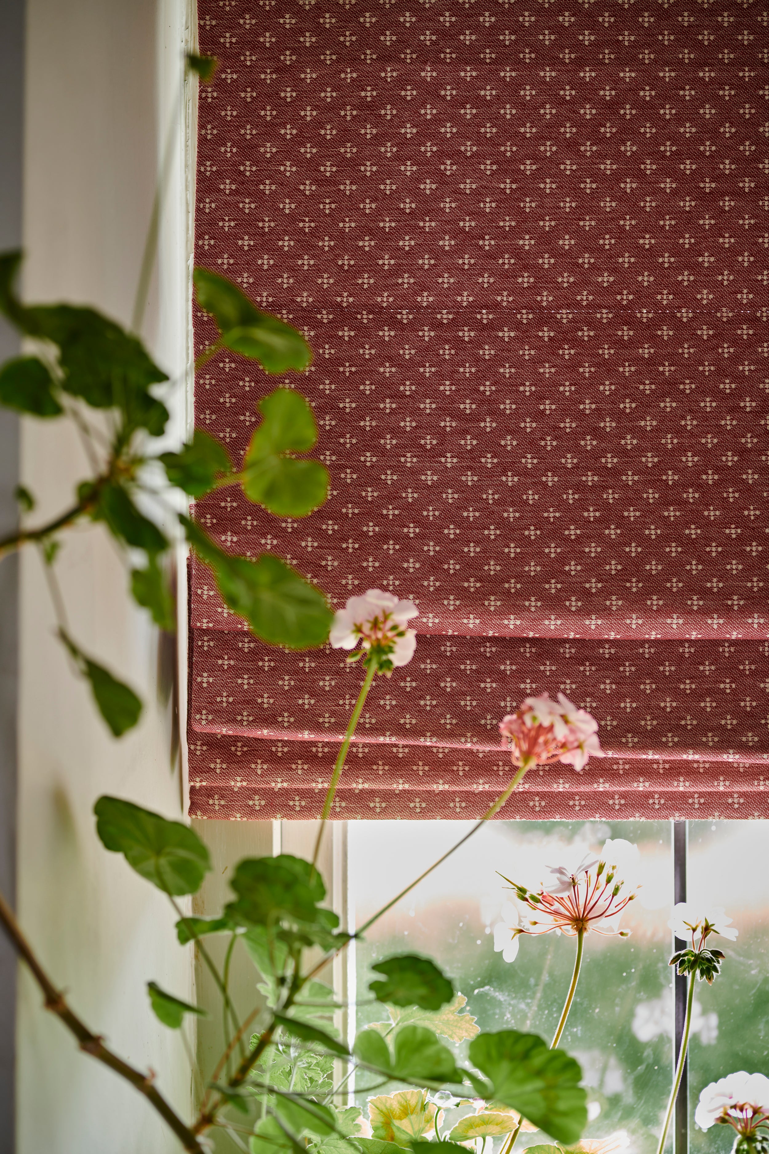 Ditsy Five Cotton Fabric Claret