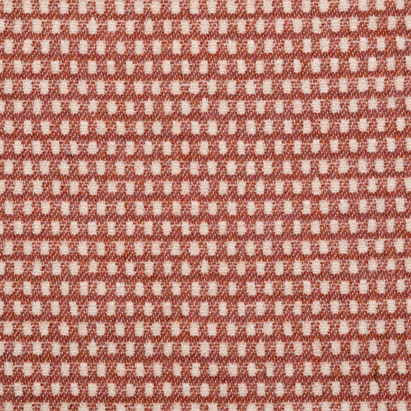 Classic Clarendon Merino Wool Fabric Blush Sample