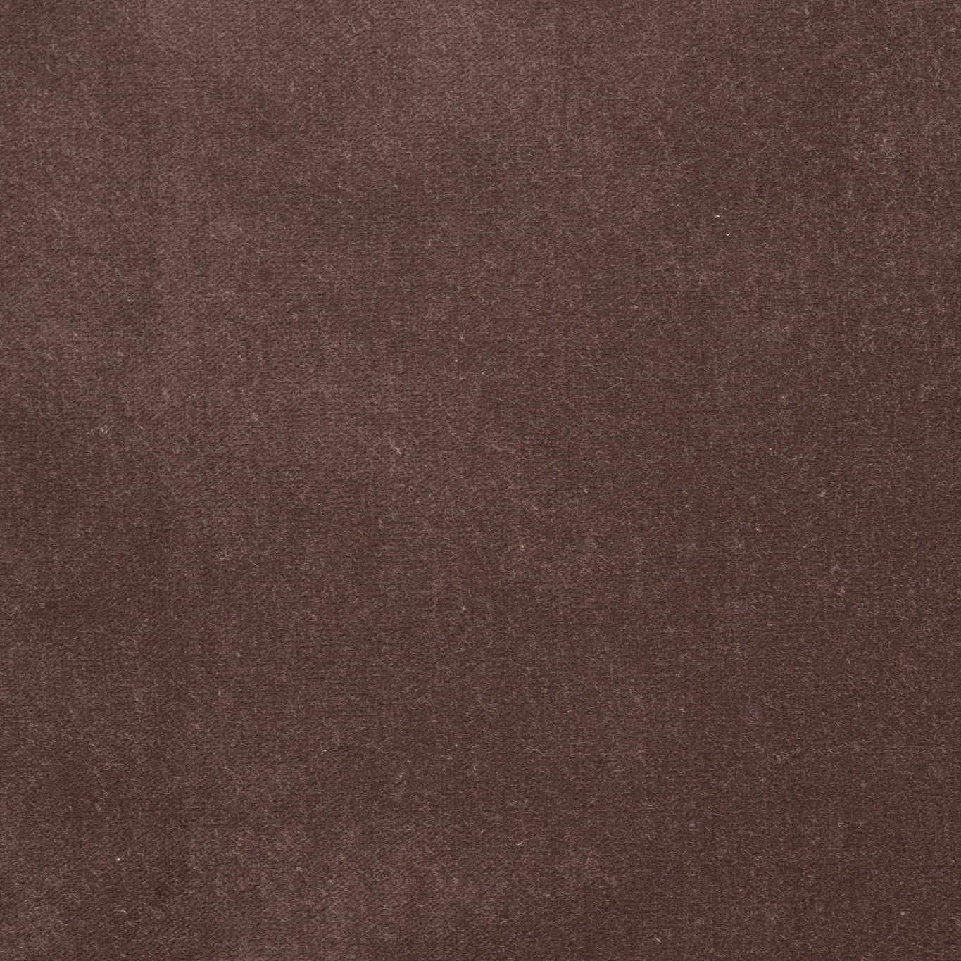 Velvet Fabric Chestnut